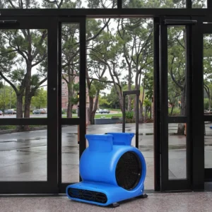 Air Blower, Portable, 220 V, 3000