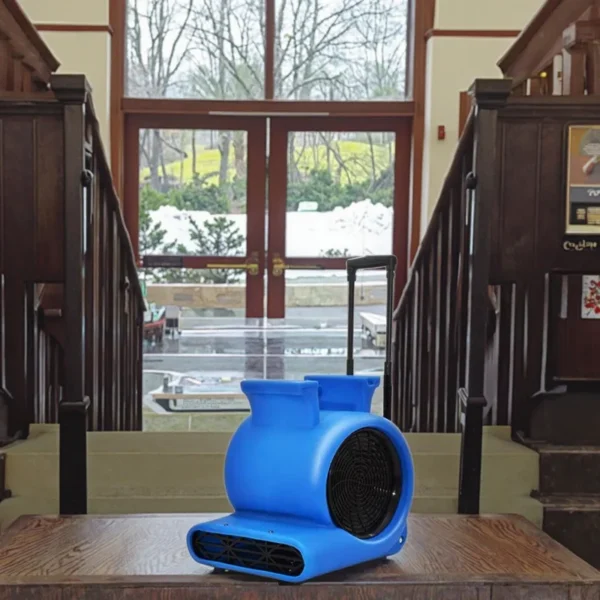 Air Blower, Portable, 220 V, 3000 - view 4