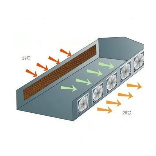 Air Coolers, Wall, Jiamusi paper, 7090 - view 6