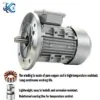 Aluminum Frame Electric Motor, YS7134, 380V, 550W, 0.75hp