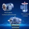 Aluminum Frame Electric Motor, YS7134, 380V, 550W, 0.75hp - view 4