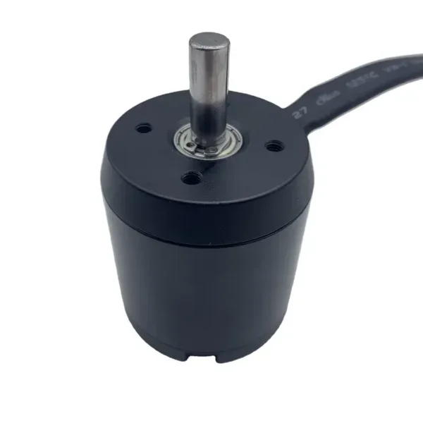And Anti-corrosive Underwater Motor, 24V, 36V, 1800W