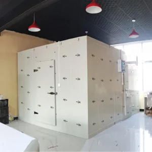 And Deep Monoblock Freezer, 110v