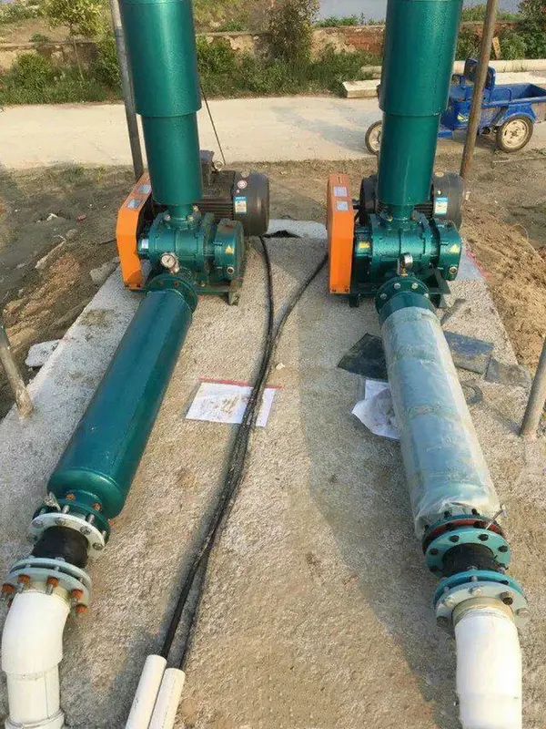 Aquaculture Roots Air Blower, 1.5KW, 10HP - view 6