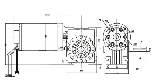 Arm Joint Brush Motor, 200W, 20Nm, 150-300RPM, 24-310V - view 4