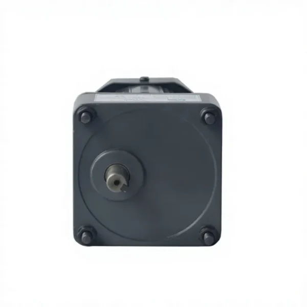 Asynchronous Gear Motor, YN90, 40-60W, 110/220/380V, IP44 - view 4