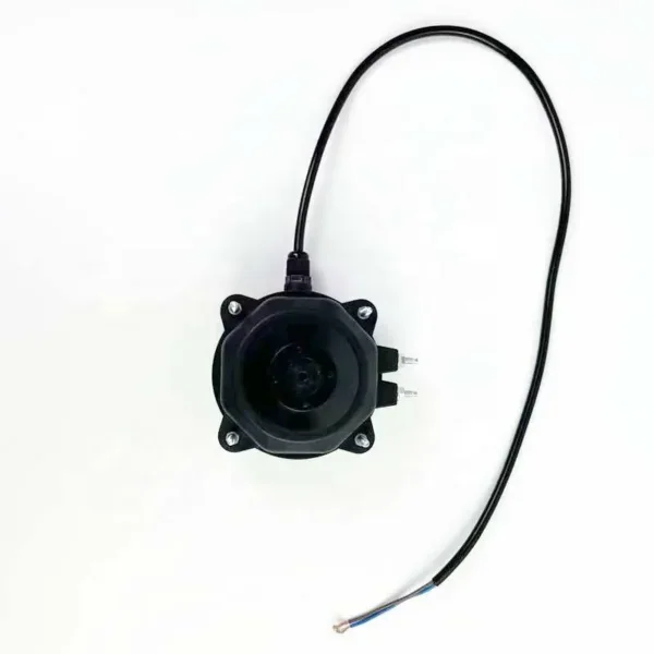 Asynchronous Motor, 12V, 220V