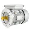 Asynchronous Motor, YL8024, 0.75KW, 1HP, 115/120V - view 2