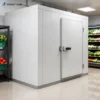 Automatic Copeland Walk-in Freezer, 380 V, > 1000W