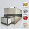 Automatic Spiral Tunnel Freezer, 220 V, Stainless Steel 304