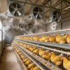 Axial Flow Exhaust Fan, 50inch/56inch, 50Hz, 220v/380v - view 2