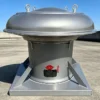 Axial Flow Exhaust Fan, Explosion-Proof, 220V/380V