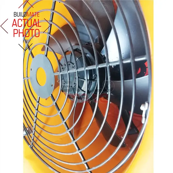 Axial Flow Fan, 250mm, 220V, Portable - view 2