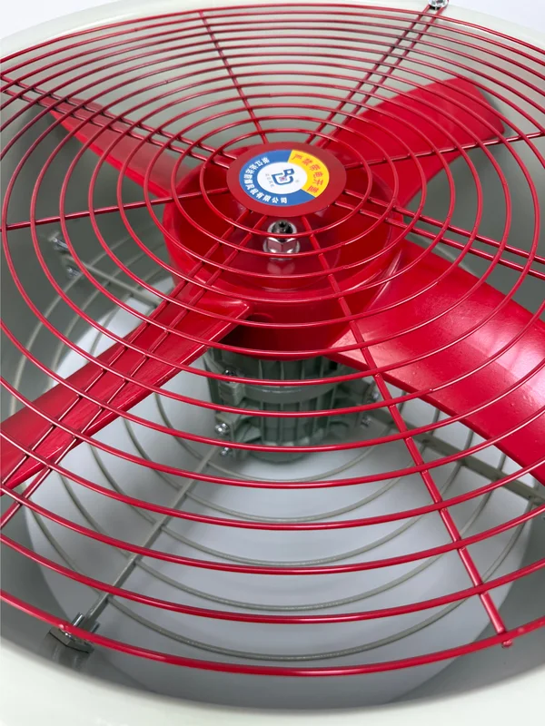 Axial Flow Fan, BT35-11-9, 4.0kW, Explosion-proof - view 4