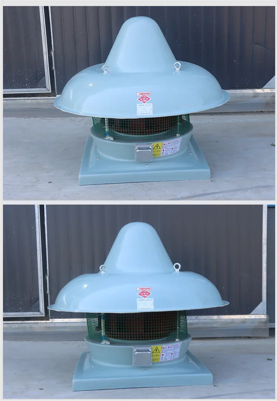 Axial Flow Fan, DWT, Centrifugal, Roof, FRP - view 4