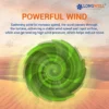 Axial Flow Fan, LONGWELL, 500mm, HVAC - view 4