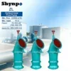 Axial Flow Propeller Pump, SHYNPO, Motor, ZL