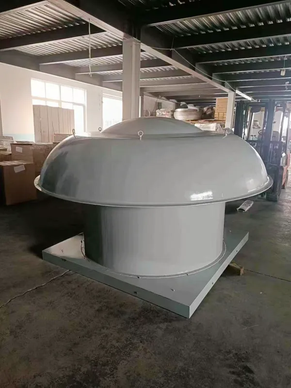 Axial Flow Roof Fan, Steel, custom-made, Electric - view 2