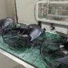 Axial Suction Fan, AFL, A3P450-EC102-042 - view 5
