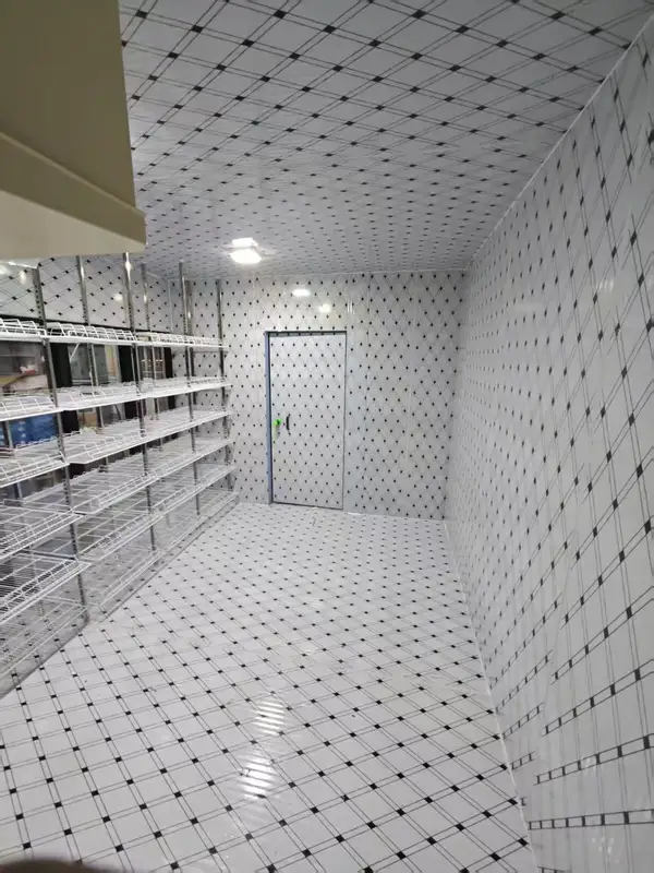 Back Loading Cold Freezer, 220V-240V, 4.2kw - view 2