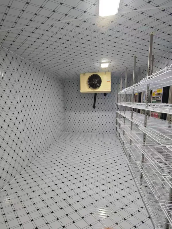 Back Loading Cold Freezer, 220V-240V, 4.2kw - view 3