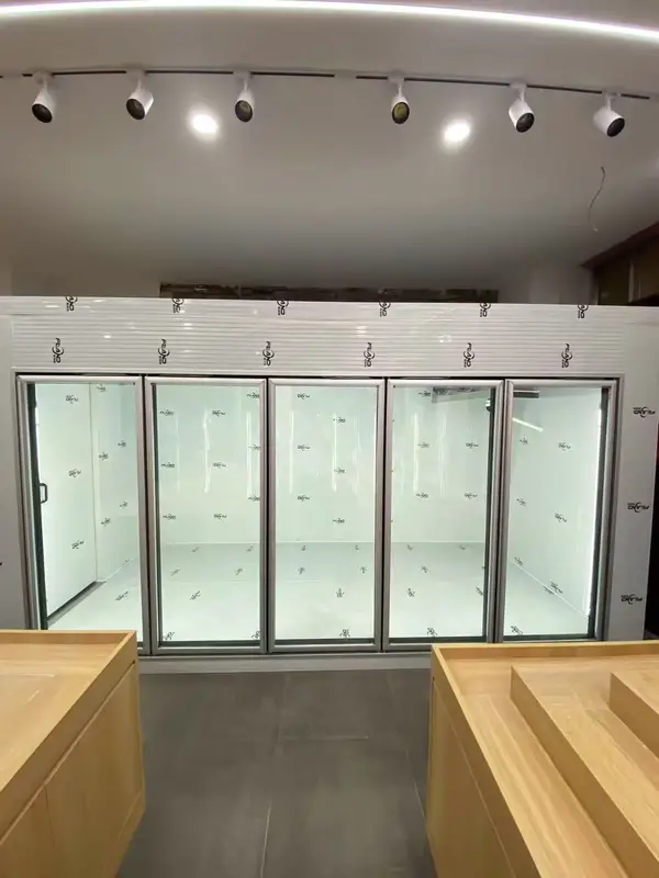 Back Loading Cold Freezer, 220V-240V, 4.2kw - view 5