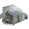 Belt Tunnel Quick Freezer, TS-1000, IQF