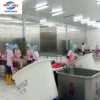 Belt Tunnel Quick Freezer, TS-1000, IQF - view 6