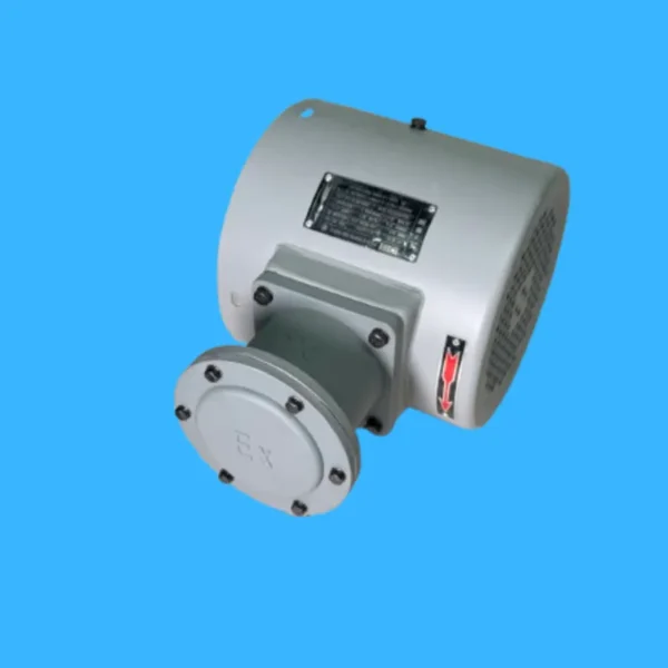 Bg100 Three Phase Motor, IP55, 380V