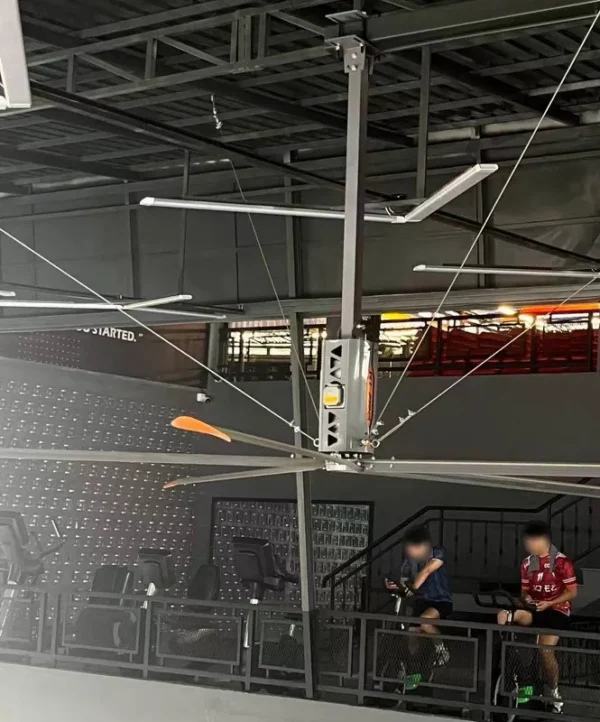 Big Ass Fan, HVLS, Ceiling - view 4