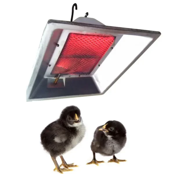 Biogas Propane Heater, 110 V, 2.5KW(3.35hp) - view 4