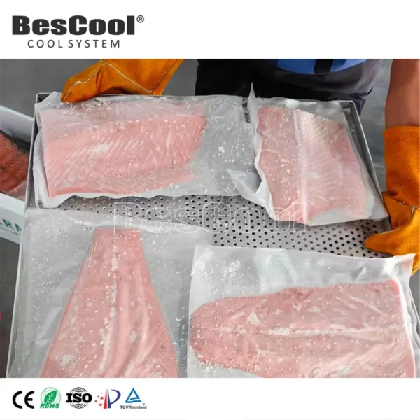 Blast Freezer - view 4