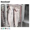 Blast Freezer - view 5