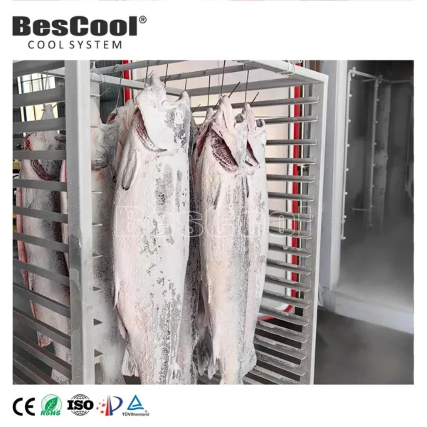Blast Freezer - view 5