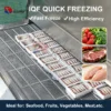 Blast Freezer, 100kg, R404A - view 2