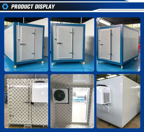 Blast Freezer, 110-240V, 0-2kw - view 6