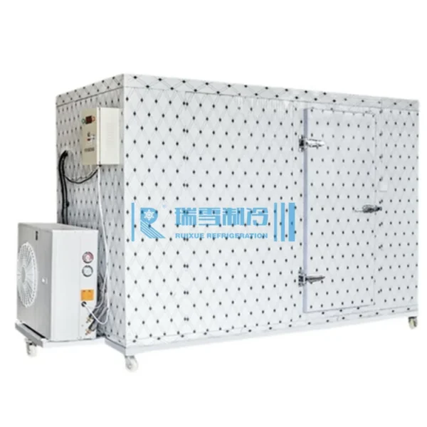 Blast Freezer, 20ft, 40ft - view 2