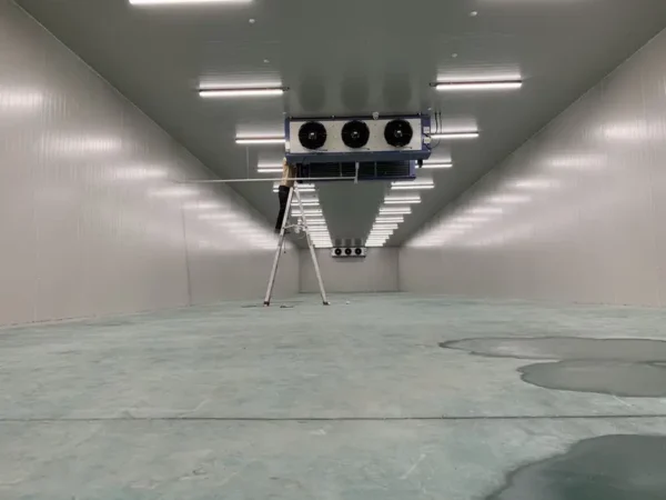Blast Freezer, 20ft, 40ft - view 5