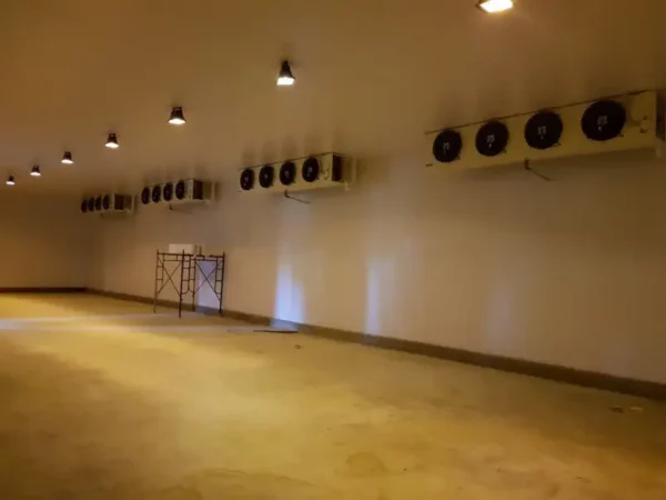 Blast Freezer, 20ft, 40ft - view 6