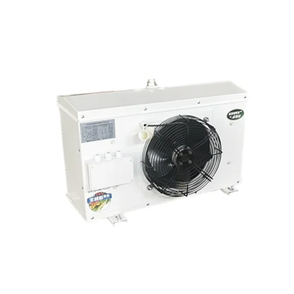 Blast Freezer, 220V