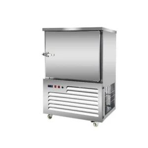 Blast Freezer, 220V, 200