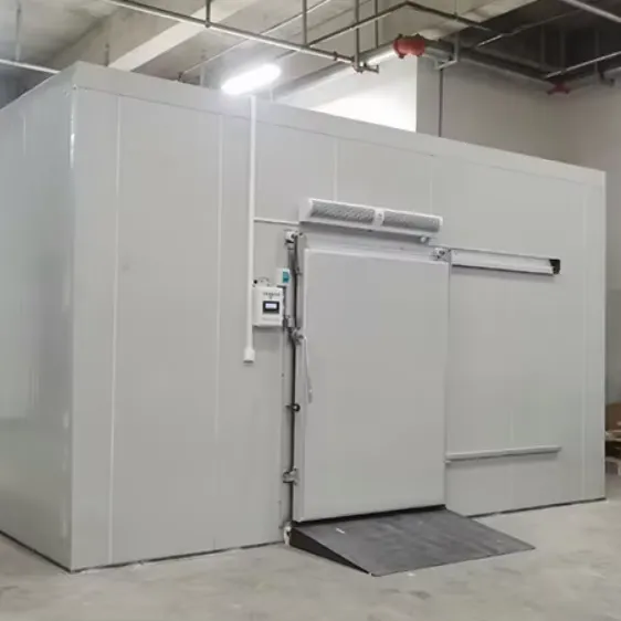 Blast Freezer, 220V, 55 W