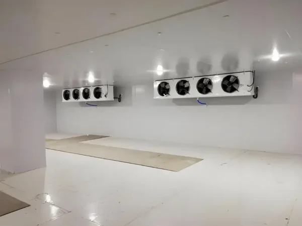 Blast Freezer, 220V, 55 W - view 2