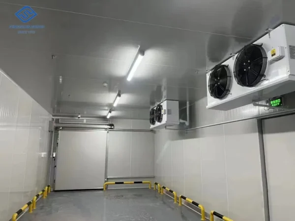 Blast Freezer, 220V, 55 W - view 5