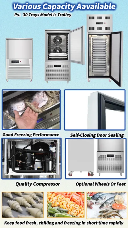 Blast Freezer, 220V, 800w - view 2