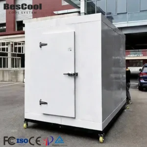 Blast Freezer, 220v, R134a