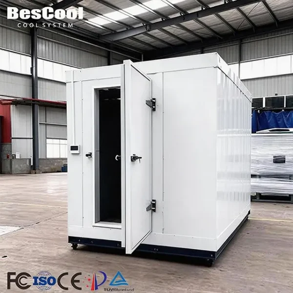 Blast Freezer, 220v, R134a - view 2