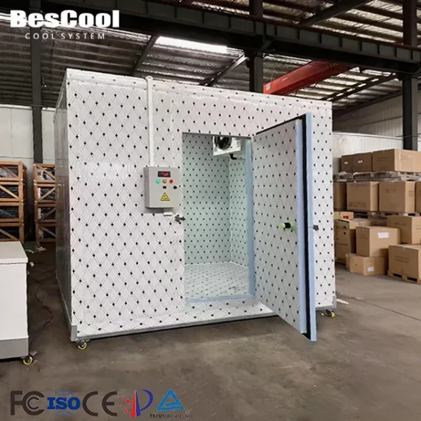 Blast Freezer, 220v, R134a - view 4