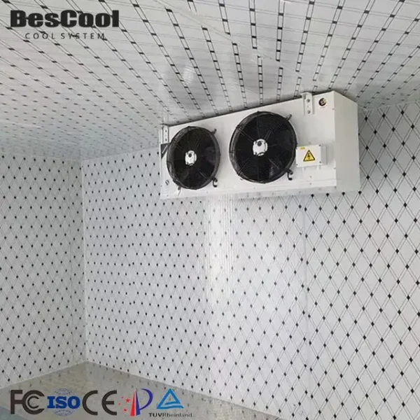 Blast Freezer, 220v, R134a - view 6