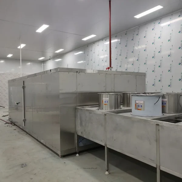 Blast Freezer, 2T, IQF - view 2